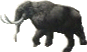 Mastodon