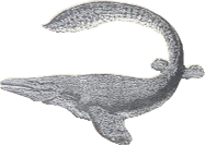 Mosasaurs