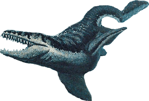 Plioplatecarpus