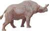 Titanothere