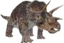 Triceratops