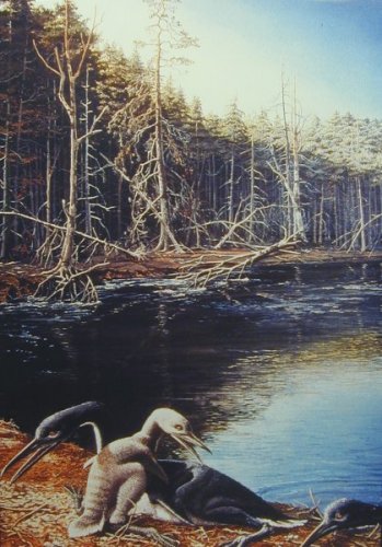 Painting of Hesperornis  