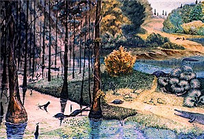 Paleocene Pond