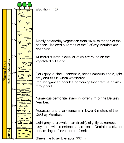 Stratigraphic Column