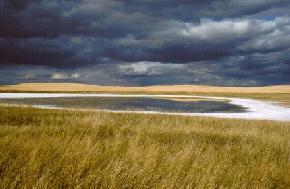 North Lake, Divide County, in late summer. (Photo by E. Murphy, NDGS). 