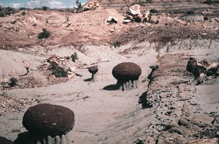 Two-foot diameter concretions from the Bullion