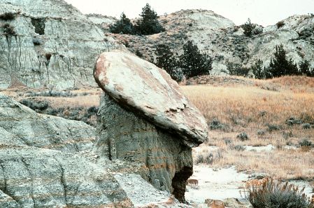 Sandstone concretion shielding pedestal of softer sediments, Theodore Roosevelt National Park.