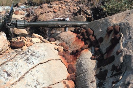 Iron-stained sandstone concretions in the Bullion Creek Formation, Theodore Roosevelt National Park. (Photos by John Bluemle).