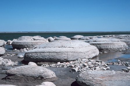 Concretions in the Sentinel Butte Formation, Lake Sakakawea. 