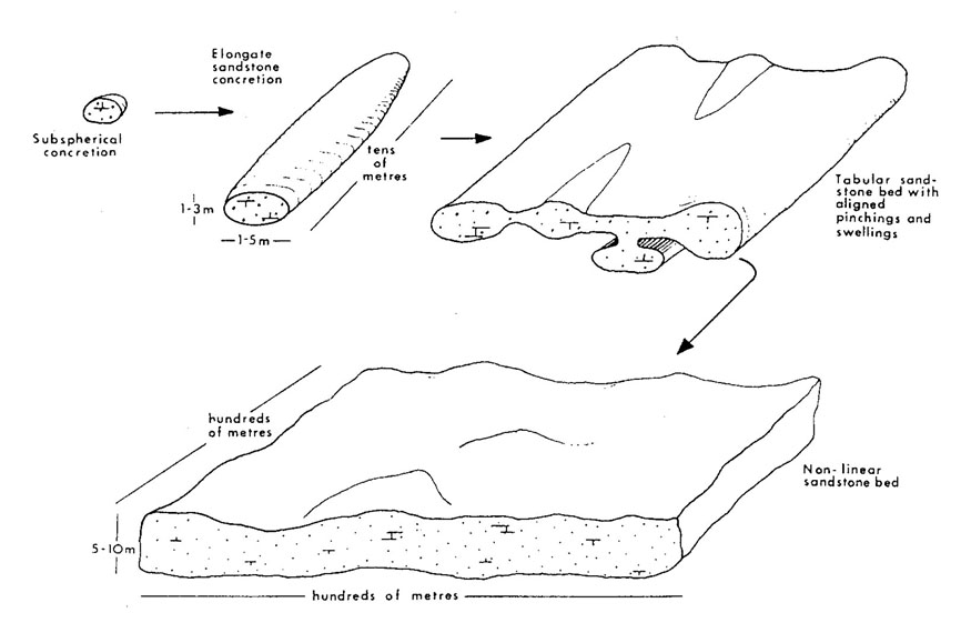 Sequence of forms developed by continued sandstone concretion growth. All four types, with many intermediate shapes, are present in south-western North Dakota. From Parsons (1980). 