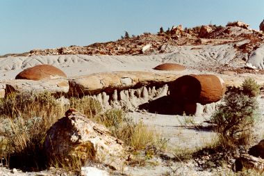 Oval and log-like sandstone concretions in the basal sandstone