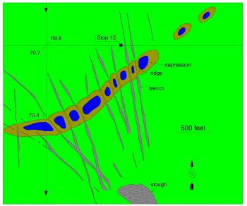 Bison trails changing from trenches to ridges where trails cross a shallow depression in a pitted proglacial 
								fluvial plain in northwest 								corner of sec. 35. T. 140 N., R. 71 W., Kidder County. North Dakota. From Clayton and Freers (1957. Fig. R-21), who mistakenly called them disintegration trenches.