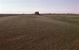 Figure 4. View of Hogback Ridge from the ground. In order to visualize the shape and scale of the ridge, it's necessary to see it from the air.