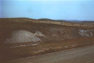 Figure 7. Glacially deformed bedrock in a road cut in the Prophets Mountains. 