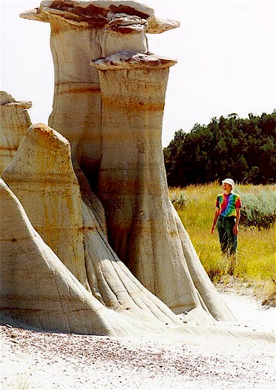 Figure 11. Some of the most spectacular hoodoos are found in the basal sandstone of the Sentinel Butte Formation.