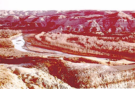 Figure 2. View east-southeast over the Little Missouri River, North Unit, Theodore Roosevelt National Park. Note the narrow, arcuate bands of cottonwoods that parallel the river channel. Each band marks the location of a natural level deposit.