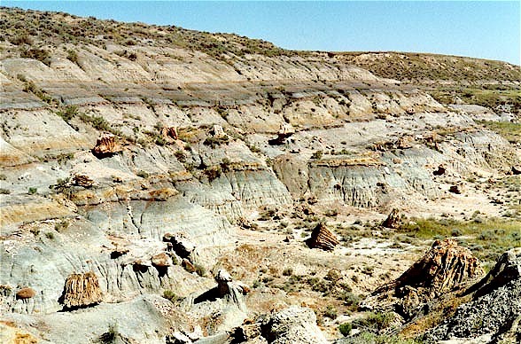 Figure 3. View of the two petrified wood beds on the Petrified Forest Plateau, South Unit, Theodore Roosevelt National Park