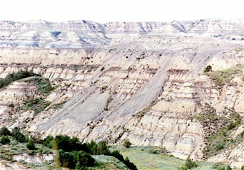 Figure 6. When saturated, the Sentinel Butte bentonite slumps and flows downhill. 