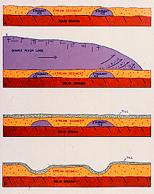 nn14f4.jpg (105475 bytes)