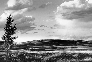 The Coteau Slope of eastern Burleigh County