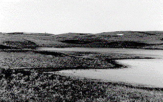 Typical prairie pothole, formed by the melting of sediment-laden glacial ice.