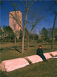 Petrified log displayed at the North Dakota State Capitol grounds.