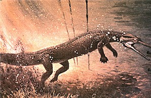 Figure 14. Life restoration of Champsosaurus lunging off the bottom of a pond after a fish. Painting by Jerome Connolly, The Science Museum of Minnesota, St. Paul.