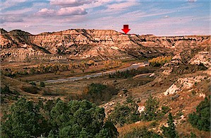 Figure 2. Bullion Creek Formation exposed along the Little Missouri River in the South Unit. Arrow points to contact between the Bullion Creek Formation and overlying Sentinel Butte Formation. View is to the north. Cottonwood Campground is in the grove of trees on the east side of the river.