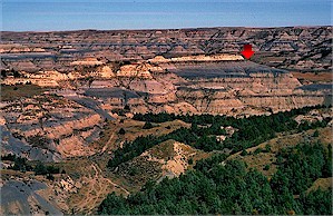 Figure 4. Sentinel Butte bentonite/ash (arrow) and overlying "yellow siltstone" in the Sentinel Butte Formation, North Unit. View is to the east taken from Bentonite Clay Overlook.