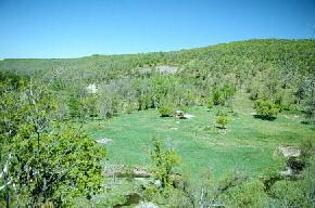 The clearing in the foreground is the site of the old Portland Cement Company plant near Concrete in eastern Cavalier County. 
								Shales from the Niobrara and Pierre formations are exposed along the hillside in the background. The remains of the kilns used to bake the high lime shales are present near the 
								center of the photograph. 