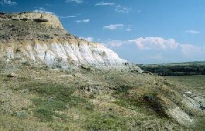 Throughout much of Dunn and Stark counties the 20 to 30 foot thick Bear Den Member is predominantly white in color. This white color can 
								be seen here in this outcrop north of Grassy Butte in McKenzie County. 