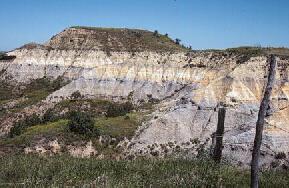 kaolinite rich clays of the Bear Den Member of the Golden Valley Formation