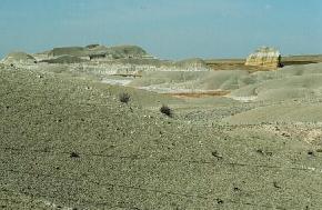 A 30 foot thick layer of swelling clay in the South Heart Member of the Chadron Formation in the Little Badlands south of South Heart, Stark County. 
								This, and other beds of swelling clay in North Dakota, have often been referred to as bentonites. The South Heart Member was mined in the early 1930s and marketed as Dakonite Soap by the Dakota 
								Colloidal Products Company. 