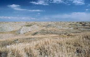 The amount of vegetation on the spoil surfaces varies considerably from mine to mine and often within a given mine. It is more difficult for vegetation to establish itself on spoils that consist largely of clayey till or claystone. The steep, long slopes of spoils that were created in the 1960s with the large draglines are also commonly only sparsely vegetated. 