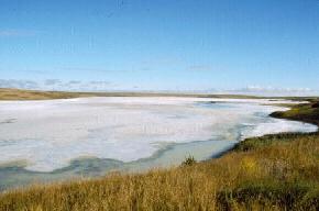 Stink Lake. Eventually, many of these lakes go completely dry in the fall. These playa lakes generally contain a foot or two of
								water in the spring and experience slowly declining water levels throughout the summer. 