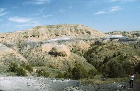 Sentinel Butte tuff or blue bed occurs near the middle of the Sentinel Butte Formation in McKenzie County