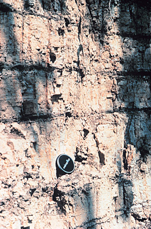 Banded Lake Agassiz sediments