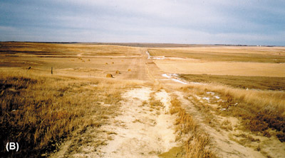 Farmstead on the Montana state line