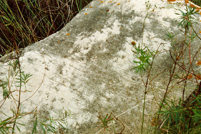 Carbonate erratic