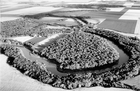 Typical meander on the Red River