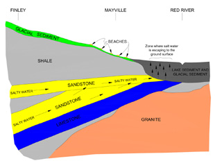 Generalized cross section from west to east along the approximate location of State Highway 200. Salt water escapes to the surface at the point 
								where the shale cover is absent. Arrows represent movement of salty water. The vertical scale of this diagram is greatly exaggerated.