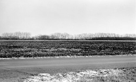 Beaded shelterbelt near the Grand Forks airport, west of Grand Forks along U.S. Highway 2. The trees grow to different height - the line is "beaded" rather than 
								of uniform height. (Photo by John Bluemle ). 
