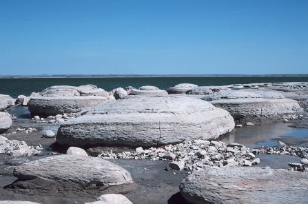 Concretions in the Sentinel Butte Formation, Lake Sakakawea.