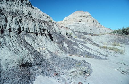 Siderite nodules in the Hell Creek Formation.